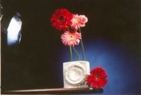 approcciofotografia2